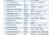 国内短视频平台排行
:中国互联网公司排名前10的公司分别代表什么领域？