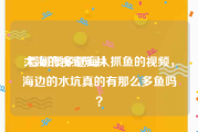 大海的视频短片
:看到很多赶海人抓鱼的视频，海边的水坑真的有那么多鱼吗？