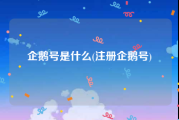 企鹅号是什么(注册企鹅号)