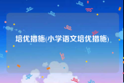 培优措施(小学语文培优措施)