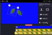 绿幕短视频
:怎么用巧影制作树叶飘落的视频？