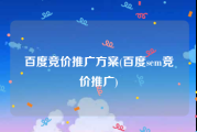 百度竞价推广方案(百度sem竞价推广)