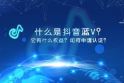 抖音蓝v认证流程(抖音政府机构认证流程)