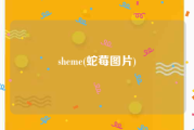 sheme(蛇莓图片)