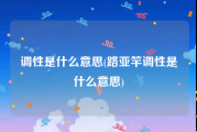 调性是什么意思(路亚竿调性是什么意思)