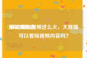 短视频聚合
:移动端短视频这么火，大屏端可以看短视频内容吗？