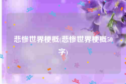 悲惨世界梗概(悲惨世界梗概50字)