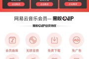 vip解析音乐(vip解析音乐在线播放)