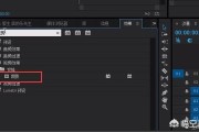 pr多画面视频怎么制作
:怎么把两个镜头拼接在一个视频画面中？