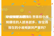 短视频那么赚钱吗
:小视频越来越火，想靠拍小视频赚钱的人越来越多，你觉得现在的小视频跟风严重吗？