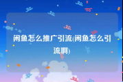 闲鱼怎么推广引流(闲鱼怎么引流啊)