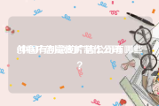 创意广告宣传片制作公司
:中国有创意的广告公司有哪些？