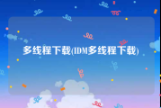 多线程下载(IDM多线程下载)