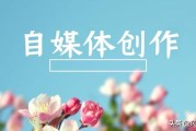 短视频剪辑风格有哪些
:我是一个想做二次剪辑的新手，可以给我一些剪辑内容的方向吗？