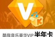 音乐vip解析(音乐vip解析软件)