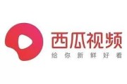 bilibili怎么下载短视频
:下载视频用什么软件？