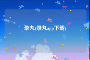 录丸(录丸app下载)