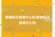 数据标注是做什么的(数据标注是做什么的)