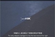 优质文案(无关爱情的优质文案)