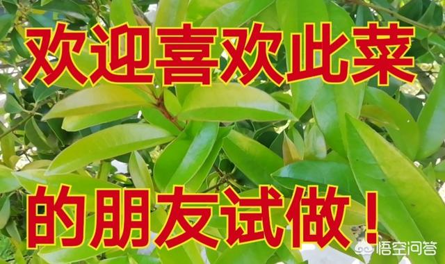 香辣虾的制作方法视频
:大虾的做法？你是怎么做的？  第11张