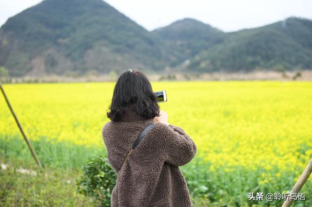 vlog视频制作报价
:旅游vlog费用大，怎么能坚持下来？  第1张