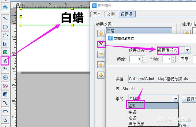 标牌制作视频
:公园里树上挂的植物标牌是怎么做的？上面还有二维码？  第4张