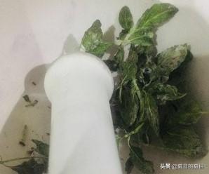 薄荷糖做法视频
:薄荷糖制作方法？  第3张