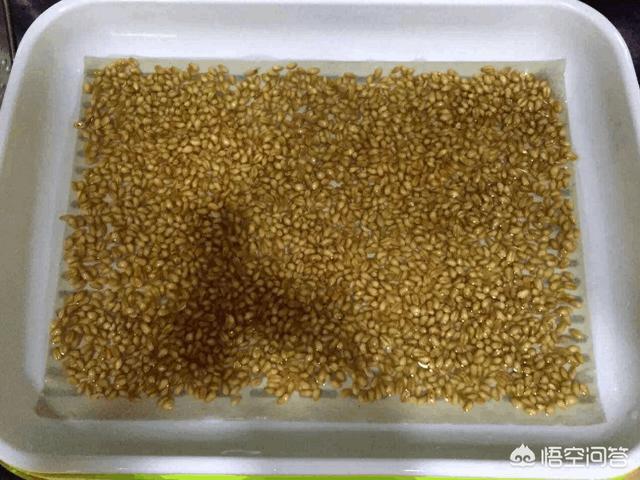 手工麦芽糖的做法视频
:麦芽糖的做法是什么？  第4张