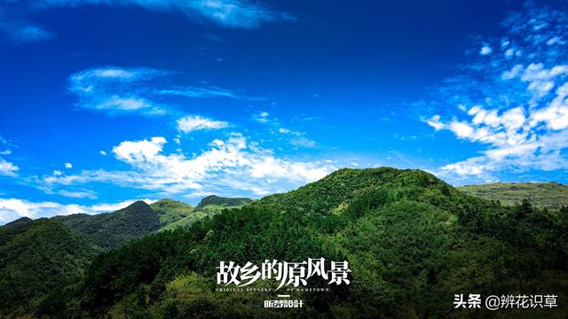 ps平面设计视频
:PS平面设计是什么概念？怎么样？  第1张