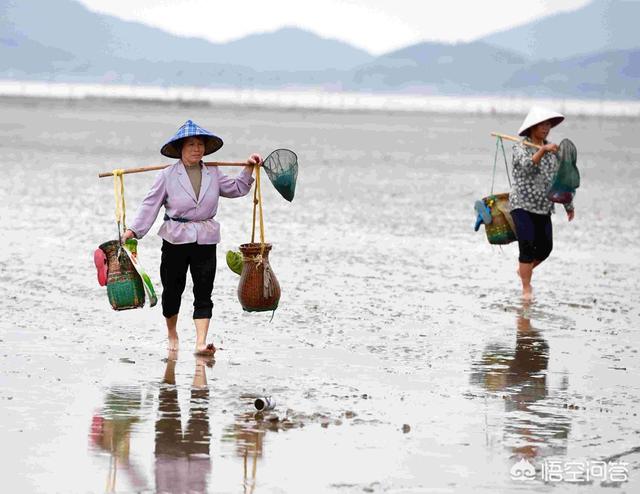 海鲜宣传视频
:三农赶海视频很火爆，勾起人们的好奇和欲望，有多少人想吃又没吃过海鲜？  第1张