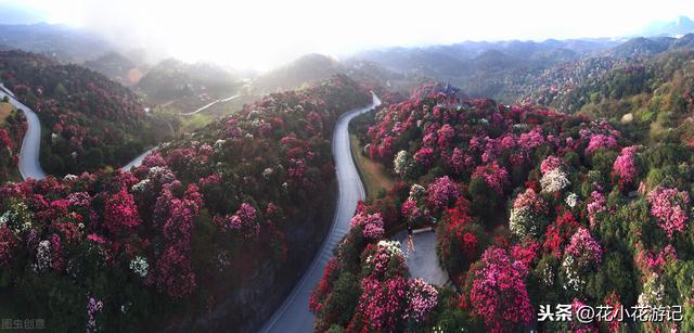 贵州旅游宣传视频央视
:贵州省十大旅游区，你知道的有哪些？  第9张