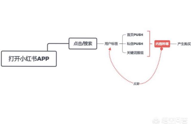 小红书的宣传视频
:小红书推广有用吗，小红书推广的优势在哪里？  第1张