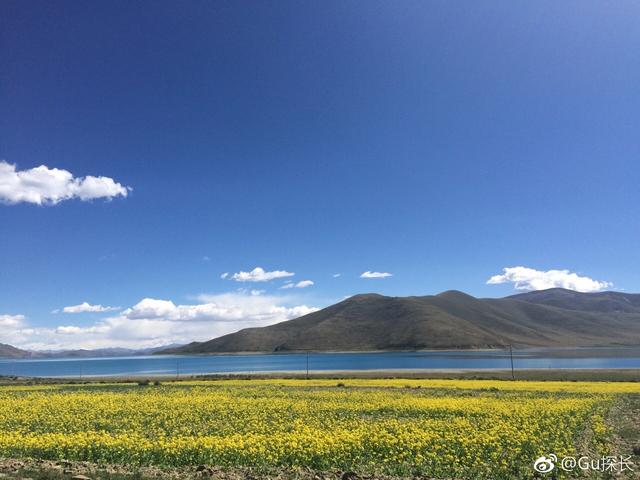 风景花朵短视频
:最美的油菜花海在哪里？可发油菜花照片与小视频吗？  第1张