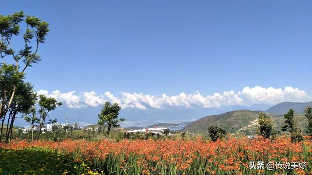 美丽的自然风景短视频
:有哪些自然风景让你心动？  第3张