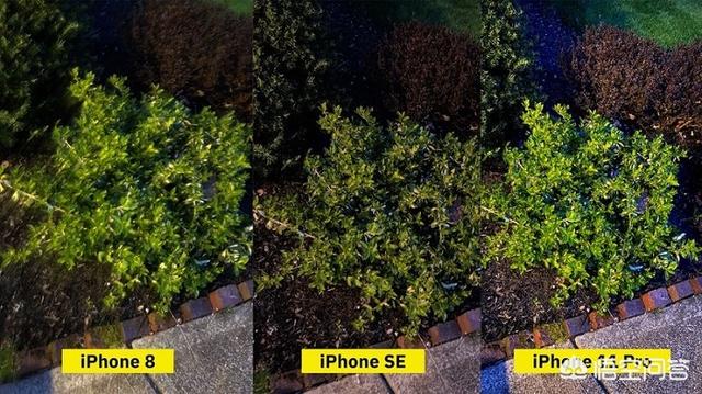 se08短视频
:新款iPhone SE的实拍表现，较iPhone 8和11 Pro有多大区别？  第6张