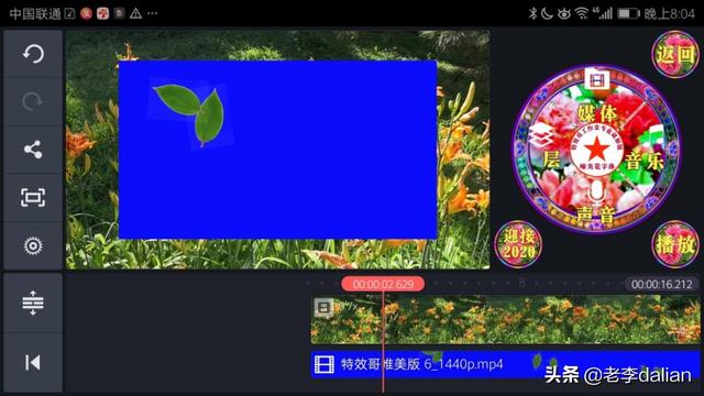 绿幕短视频
:怎么用巧影制作树叶飘落的视频？  第2张