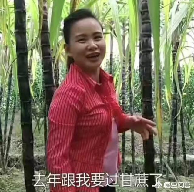 短视频可以赚到钱吗
:现在越来越多的人加入了农村短视频自媒体，还能赚到钱吗？还是图个自娱自乐？  第1张