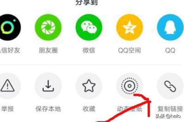 短视频 下载
:如何下载无水印视频？  第4张