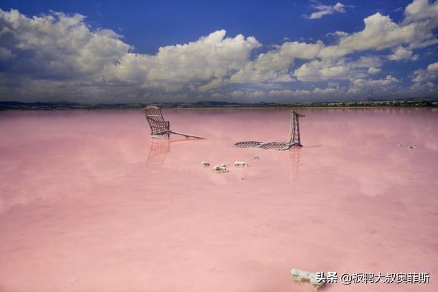 美景短视频下载
:旅游风景类视频，旅游攻略类视频，旅游历史故事视频，哪个吸引人？  第8张