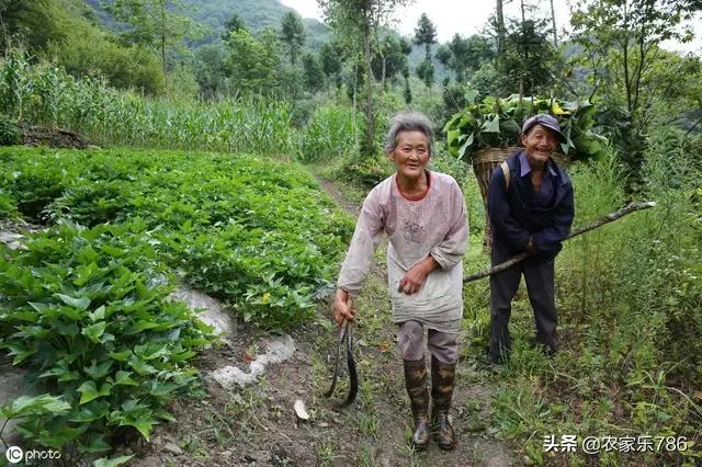 免费情感短视频
:我是一个80后，现在一看情感视频，就会掉眼泪。为什么？  第1张