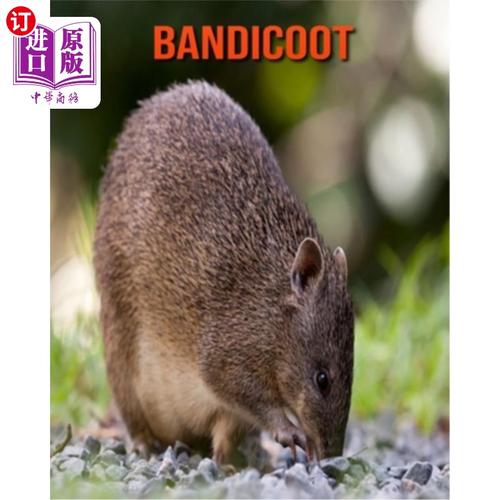 bandicut