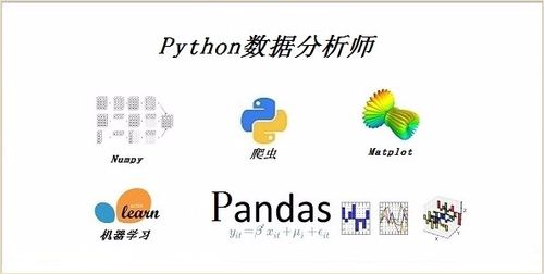 python自学网