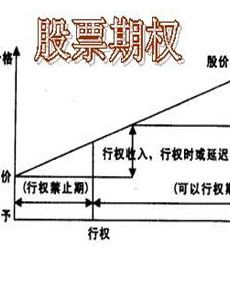 期权入门基础知识