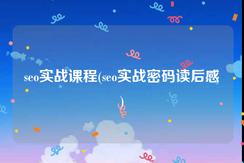 seo实战课程(seo实战密码读后感)