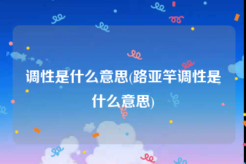 调性是什么意思(路亚竿调性是什么意思)