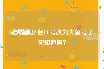 uc大鱼号
:自媒体平台UC号改为大鱼号了你知道吗？