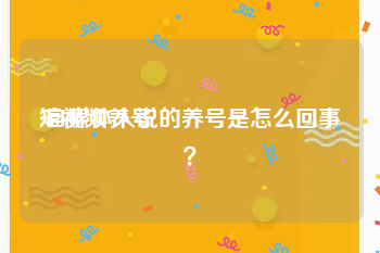 短视频养号
:自媒体人说的养号是怎么回事？