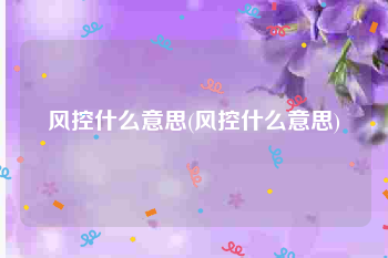 风控什么意思(风控什么意思)