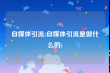 自媒体引流(自媒体引流是做什么的)