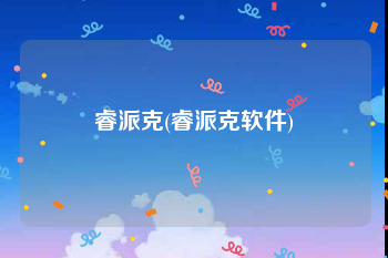 睿派克(睿派克软件)